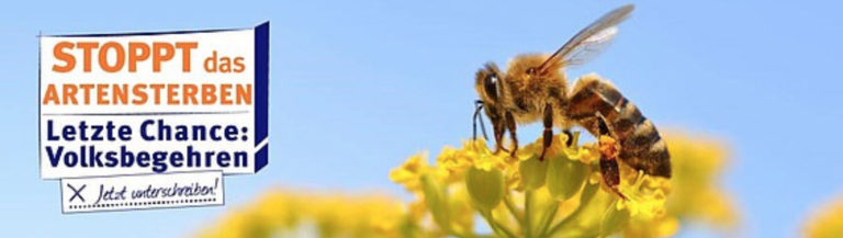 Volksbegehren in Bayern: Rettet die Bienen!