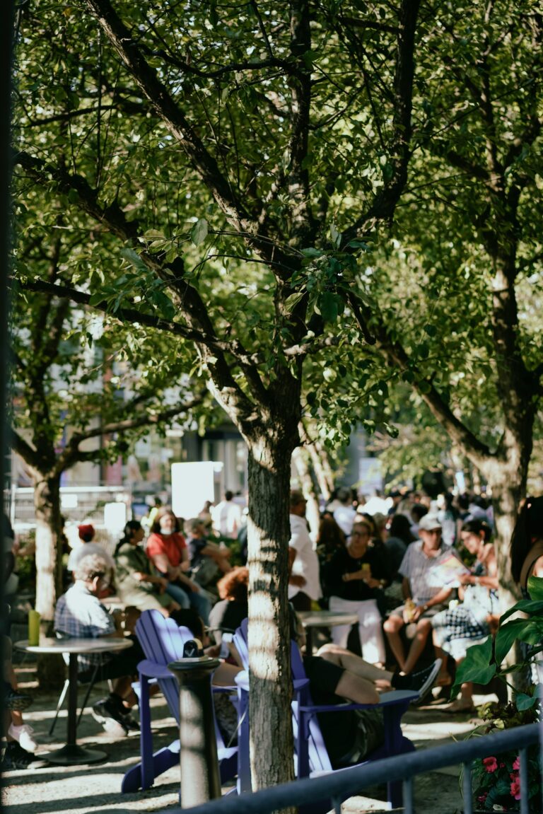 Für jeden gefällten Baum im Stadtgebiet muss es adäquaten Ersatz geben
